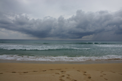 SONY DSC
