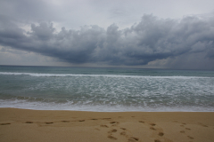 SONY DSC