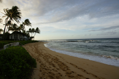 SONY DSC