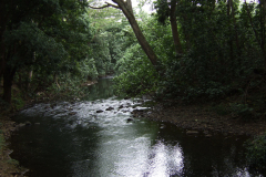 DSCF1139