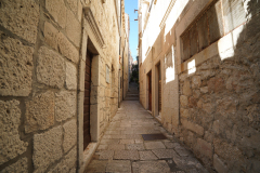 DSC02007