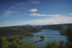 DSC00607