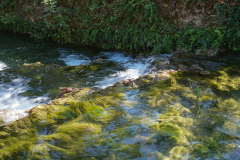DSC00622