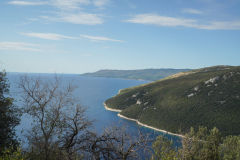 DSC00805