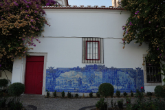 DSC01559