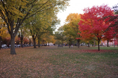DSC00197