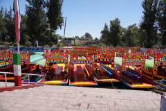 DSC00696