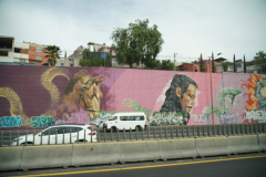 DSC00989