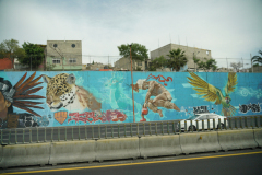 DSC00990