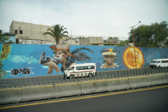 DSC00991