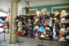 DSC00665