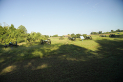 DSC01392