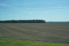 DSC01668