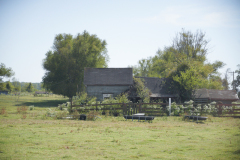 DSC01720