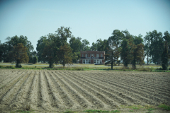 DSC01741