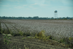 DSC01853