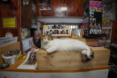 DSC02437