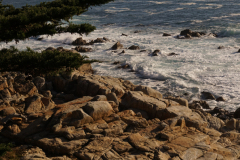 DSC00927
