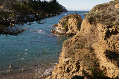 DSC01042