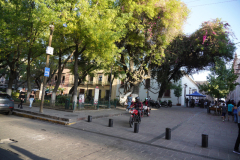 DSC02680