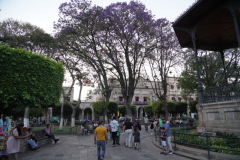 DSC02747