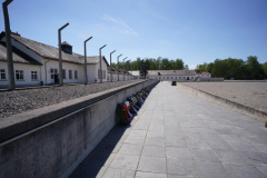 DSC03813