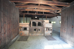 DSC03846