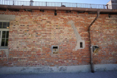 DSC03853