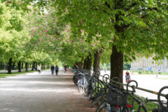 DSC05232