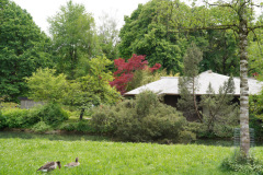 DSC05279