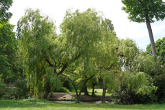 DSC05308