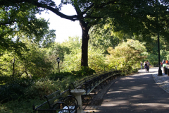 DSC08408