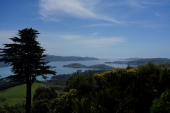 DSC02235