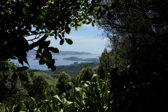 DSC02244