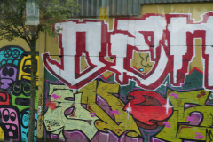 DSC08226