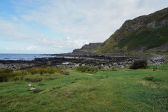 DSC08552