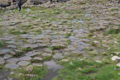 DSC08580