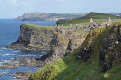 DSC08611