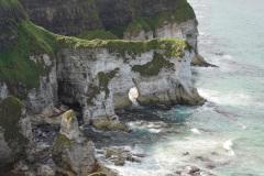 DSC08619