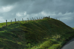 DSC08629