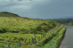DSC08631