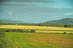 DSC08819