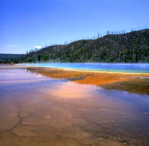 Hot Springs Yellowstone01