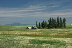The Palouse Eastern Washington