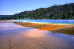 Hot Springs Yellowstone01