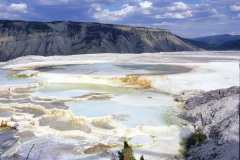 Mineral Springs Yellowstone