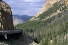 Pass Thru Yellowstone