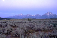 Teton Morning