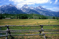 Tetons Fence