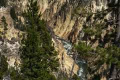 zDSC00658